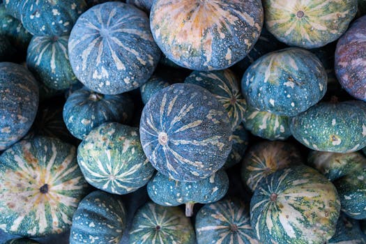 colorful array of fresh vegetables